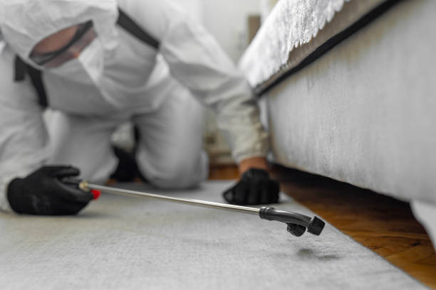 Professional Bed Bug Control technician working in Waldo County County, ME